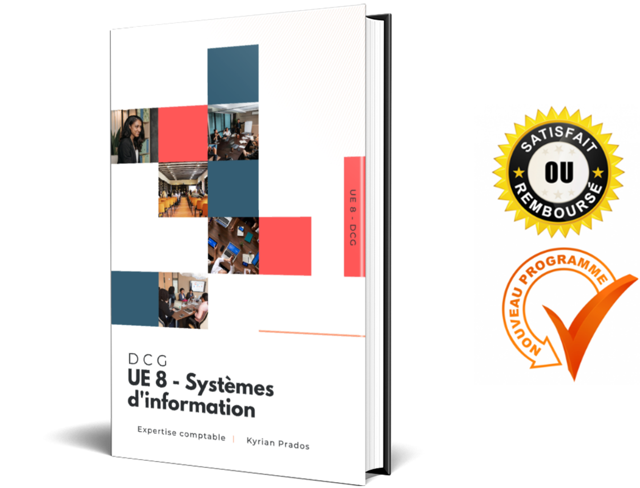 Fiches DCG UE 8 Systèmes d'informations