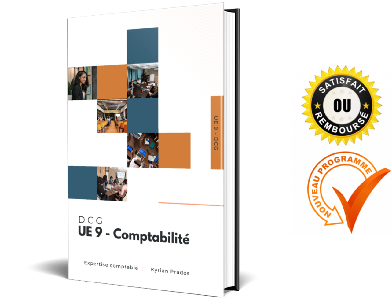 Fiches DCG UE 9 Comptabilité