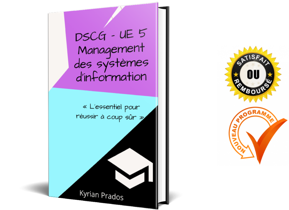 Fiches DSCG UE 5 Management des systèmes d'information